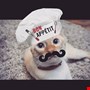 chef profile img